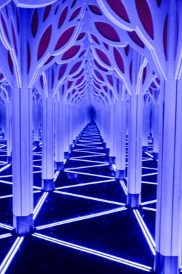 Tunnel of mirrors